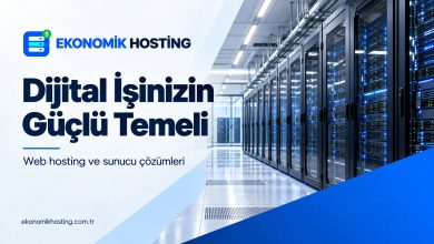 Wordpress Sunucularında Otomatik Güncelleme Desteği